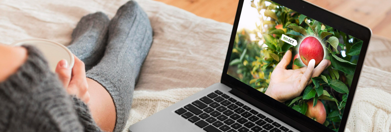 person with computer using website to pick apples on couch